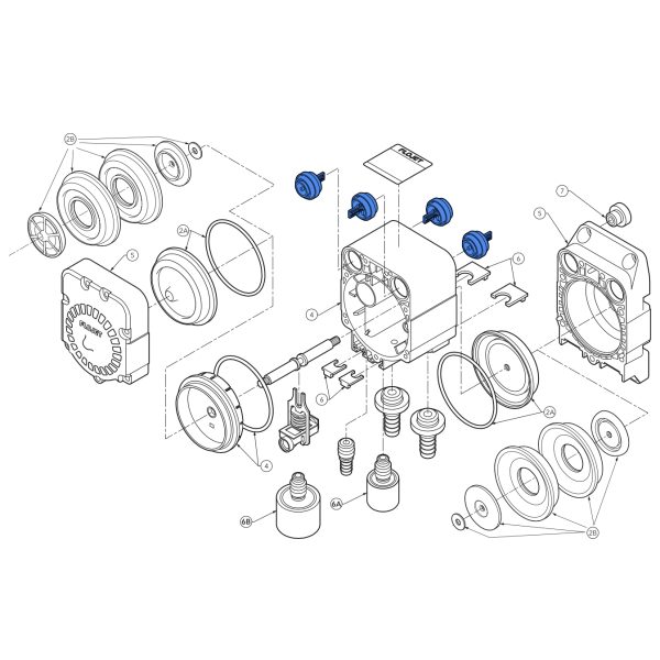 kit valvole Kalrez per pompa Flojet G57 pump check valve kit valvulas de recambio